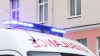 "Минимум 37 укусов". Житель Березинского района умер, пытаясь убрать пчелиное гнездо