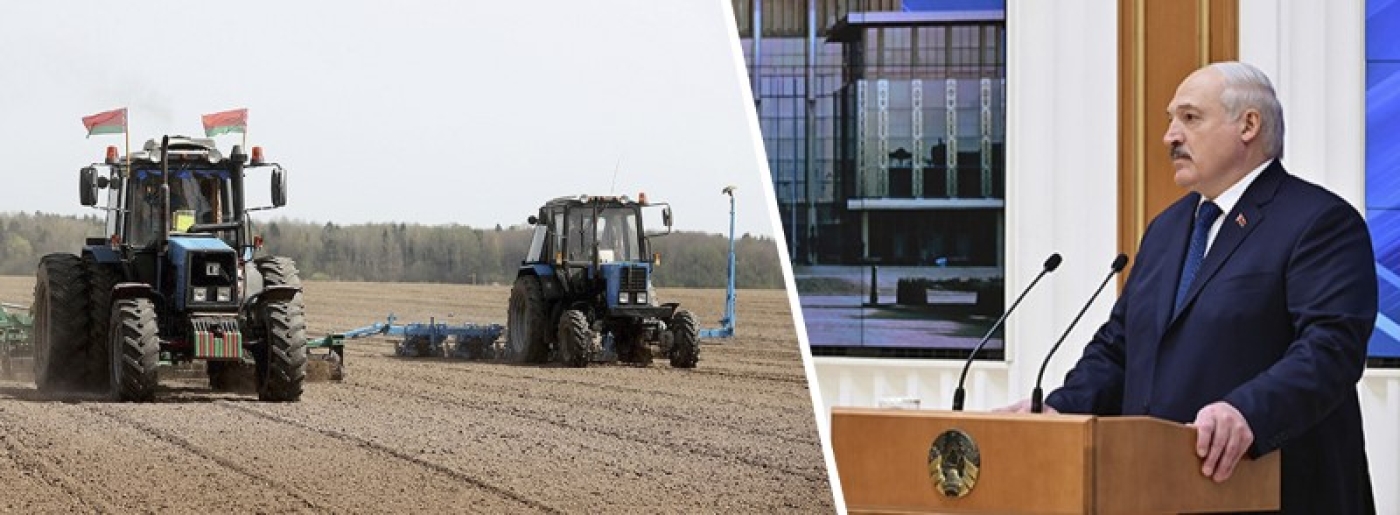 "Есть чем гордиться, но надо двигаться дальше". Вот что требует Лукашенко от сельского хозяйства
