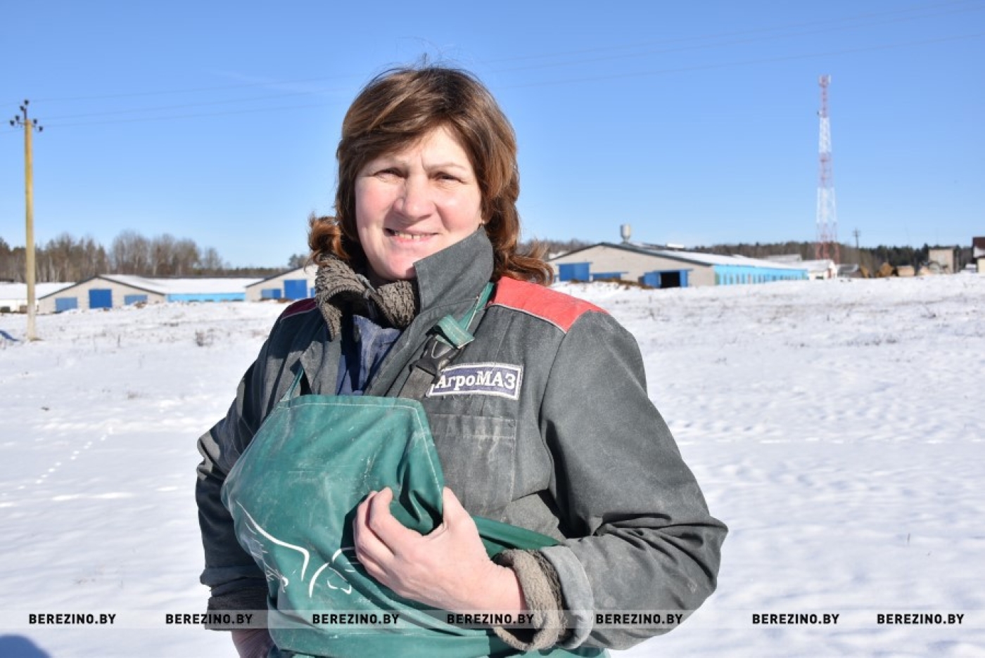 Когда работа по душе