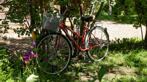 В Солигорском районе задержаны отец и двое сыновей, воровавшие велосипеды