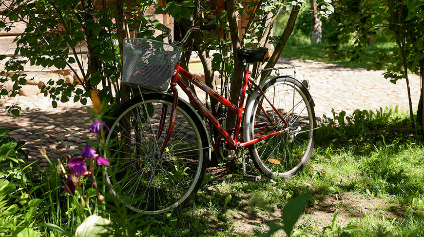 В Солигорском районе задержаны отец и двое сыновей, воровавшие велосипеды