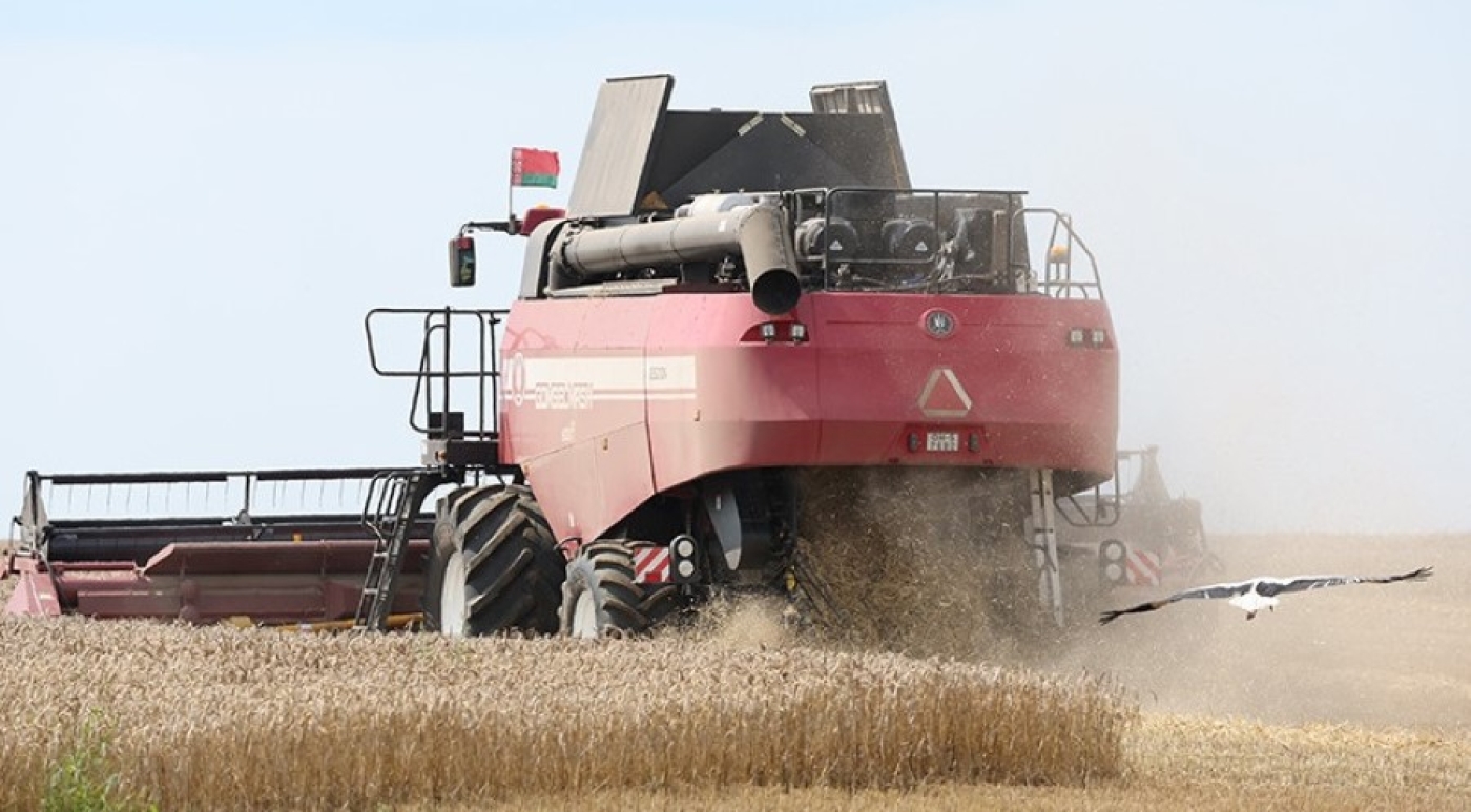 Белорусские аграрии намолотили 5 млн тонн зерна