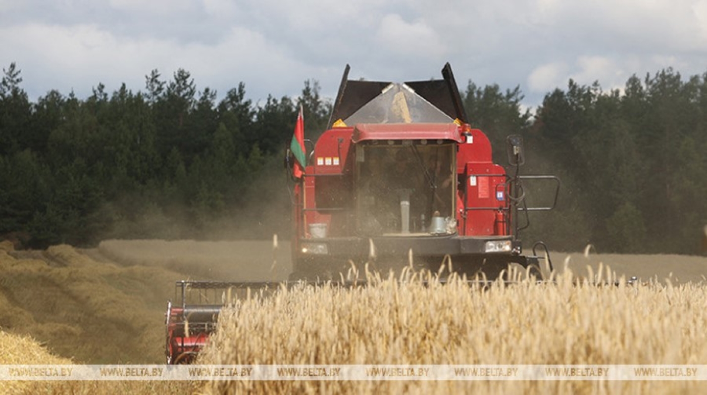 Аграрии Минской области собрали первый миллион тонн зерна