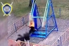 В Могилеве в парке аттракционов погиб 18-летний стажер, заведующей предъявлено обвинение