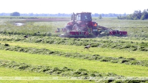 Комитет госконтроля продолжает проверку готовности сельхозпредприятий к заготовке кормов
