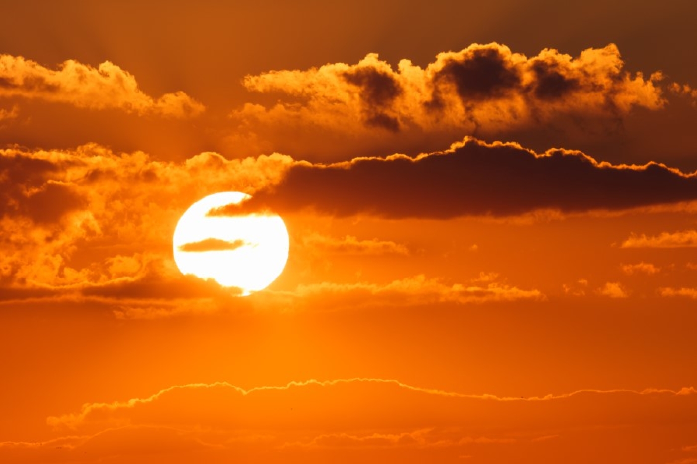 В каком городе побит абсолютный температурный рекорд Беларуси, рассказали синоптики