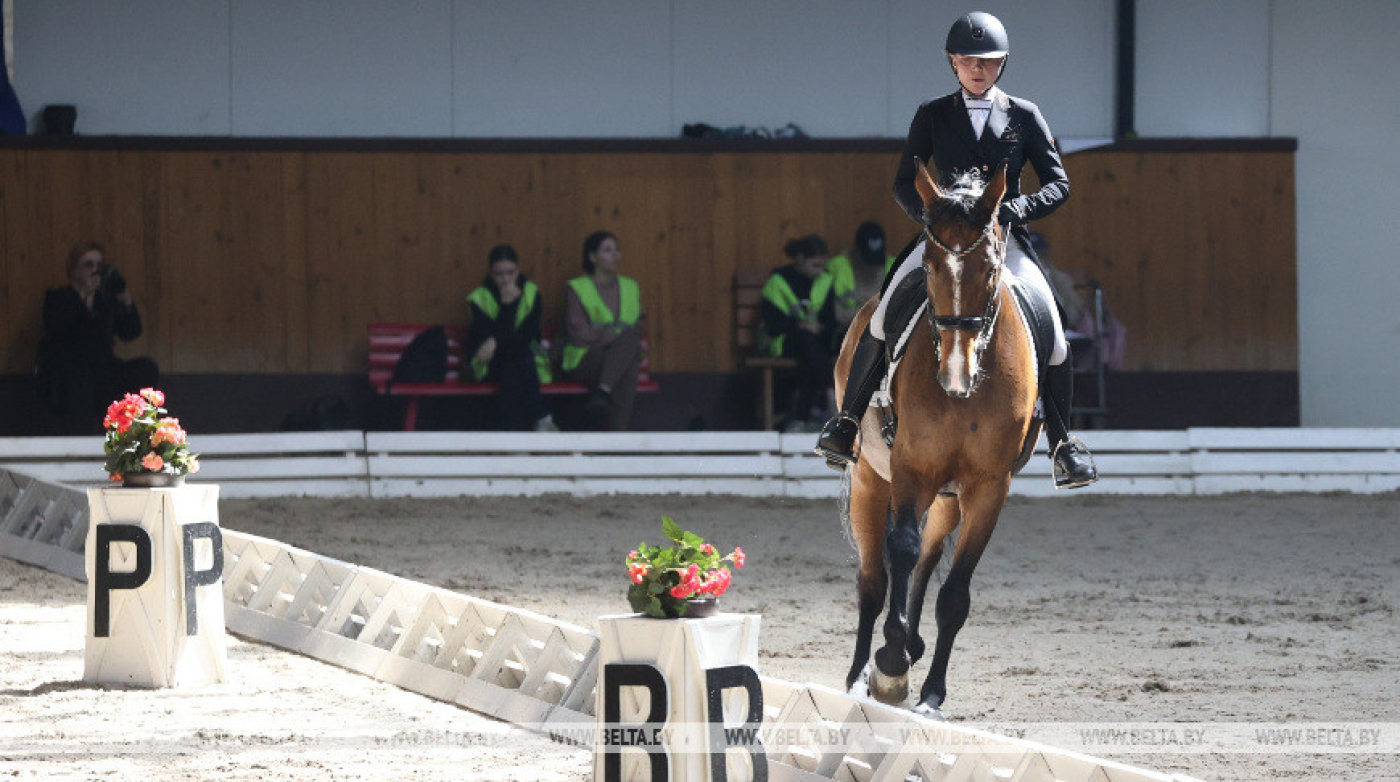 Фестиваль лошади "Полесская нива - 2023"