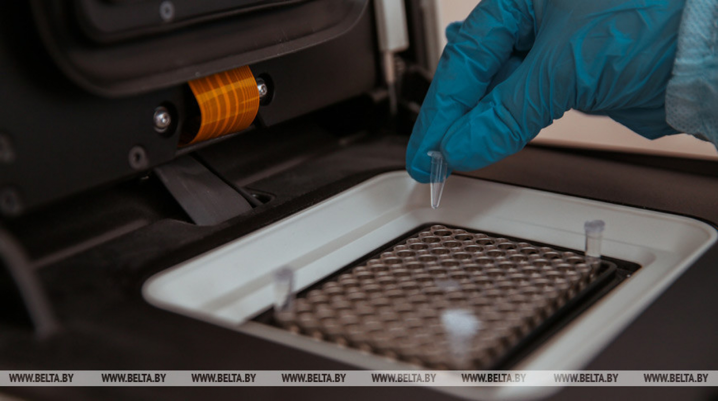 Более 1,3 тыс. новых случаев ВИЧ выявили в Беларуси за 10 месяцев этого года