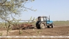 Лен в Беларуси посеян на 55,6% площадей