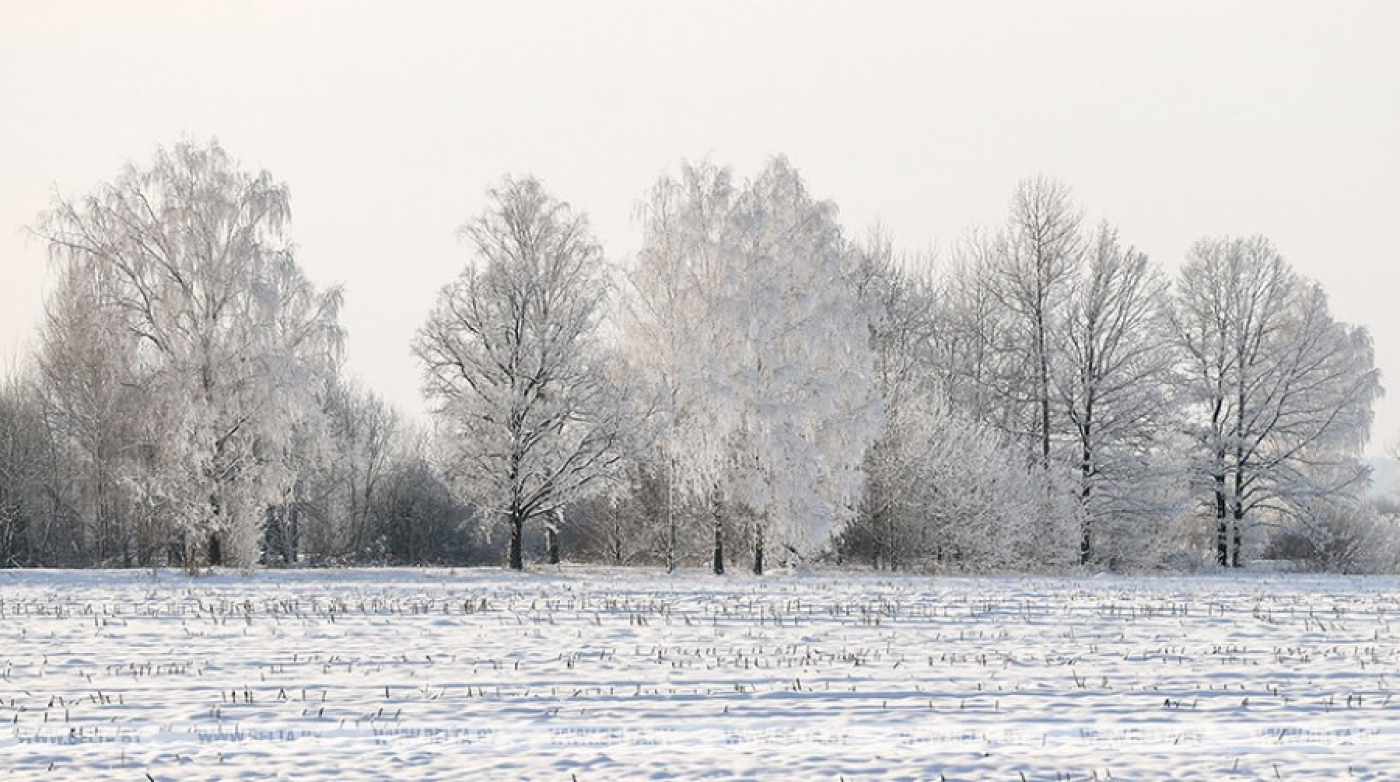 Облачная с прояснениями погода ожидается в Беларуси 6 февраля