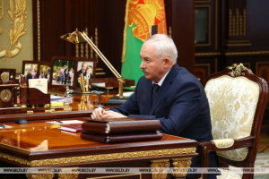 Лукашенко принял с докладом Шеймана на тему развития сотрудничества со странами Африки