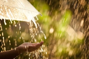 Погода 20 мая: кратковременные дожди, местами грозы и до +21 °С