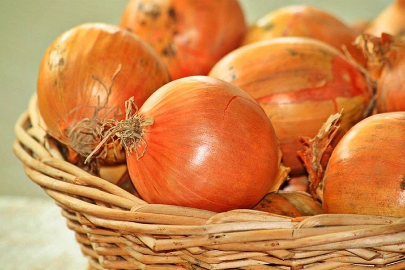 Деньги на удобрения не тратим – луковая шелуха работает лучше химикатов