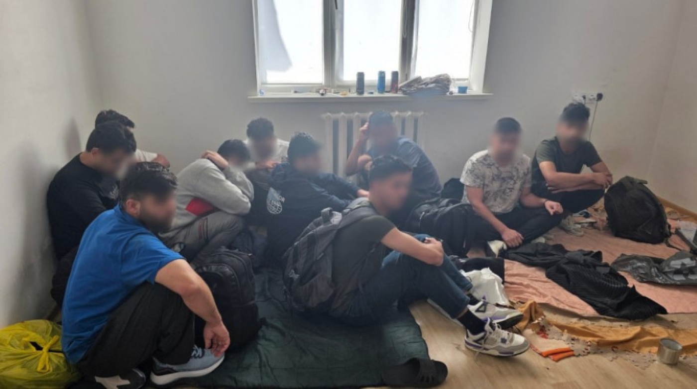 Три группы нелегальных мигрантов обнаружили правоохранители в Минской области