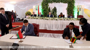 Беларусь и Зимбабве договорились о сотрудничестве в налоговой сфере