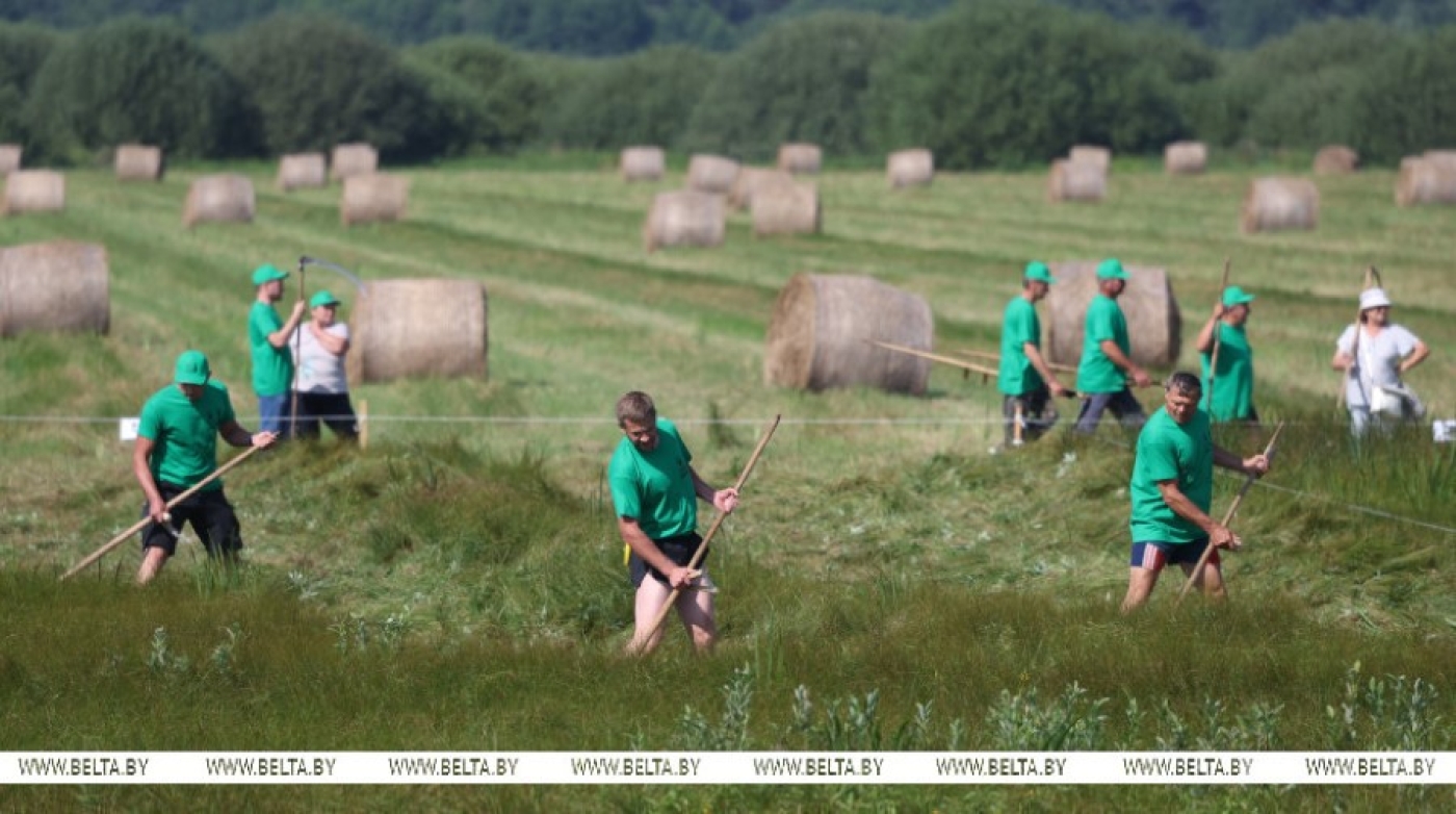 Запах сена и футбольный азарт. Как проходит экологический фестиваль "Споровские сенокосы"