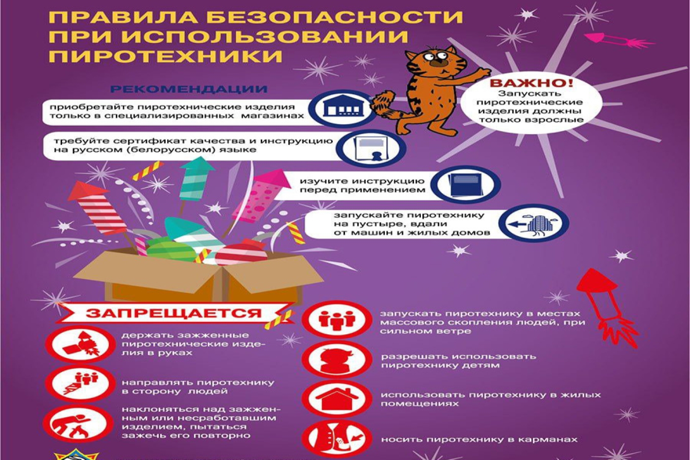 МЧС предупреждает: правила безопасности при использовании пиротехники