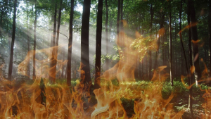 Не допустите пожара!