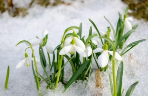 Температура на 1-1,5 °С выше климатической нормы и сход снега — Рябов о погоде в марте