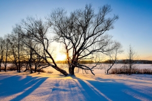 В каком регионе Беларуси будет холоднее всего 22 января, рассказали синоптики