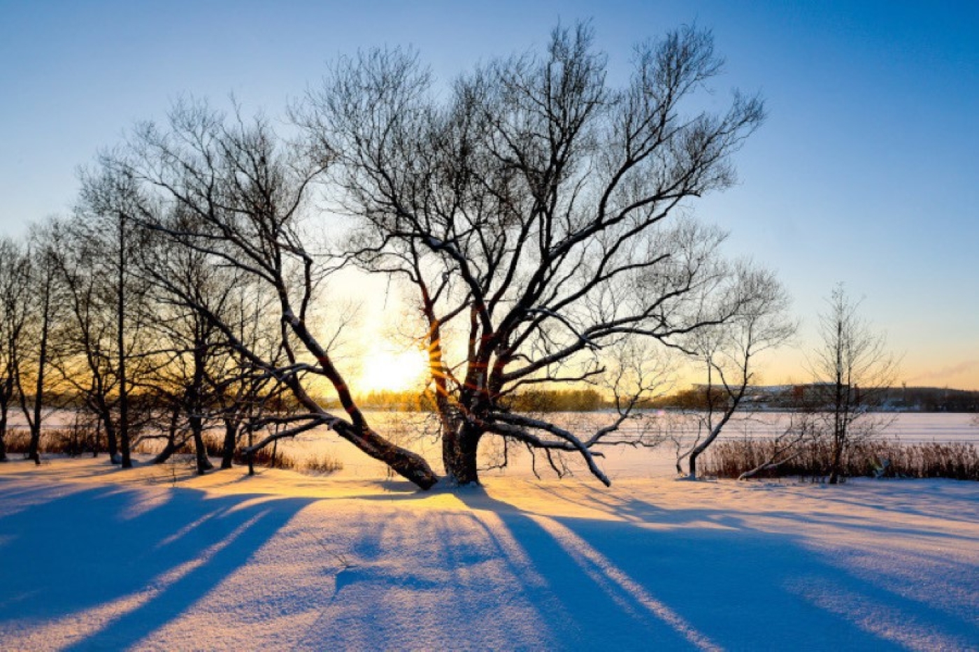 В каком регионе Беларуси будет холоднее всего 22 января, рассказали синоптики