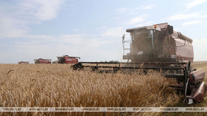 Сергеенко об уборочной: слагаемые успеха - техническая составляющая и готовность людей