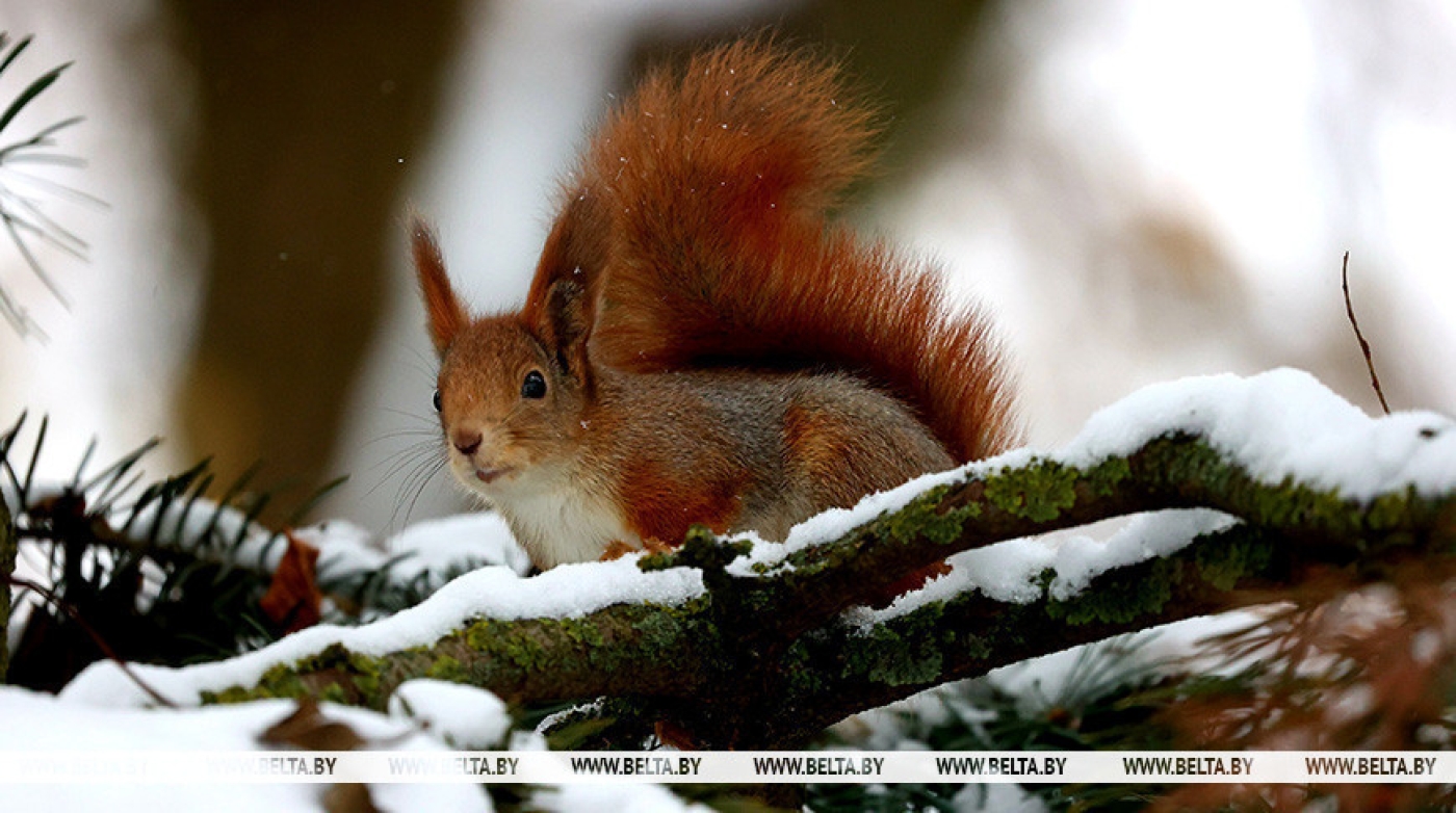 Климатологи: зимний сезон 2023/2024 годов стал самым влажным начиная с 1945 года