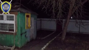 "Схватил и бросил о стену". В Бобруйске мужчина убил котенка на глазах у маленькой девочки