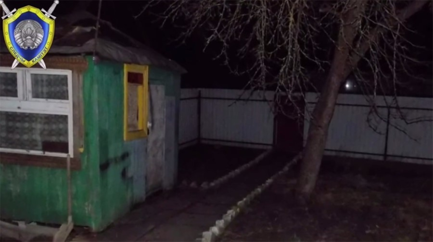 "Схватил и бросил о стену". В Бобруйске мужчина убил котенка на глазах у маленькой девочки