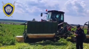 Под колесами косилки в Зельвенском районе погиб рабочий местного хозяйства