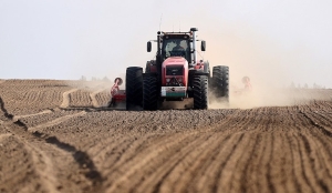 Полевые работы набирают темпы: в Беларуси посеяли более 26% яровых