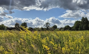Сильный ветер и до +25°С. Какой погоды ждать в Беларуси в первый день июля