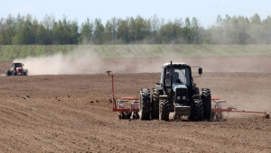 В Беларуси завершили сев яровых и кукурузы