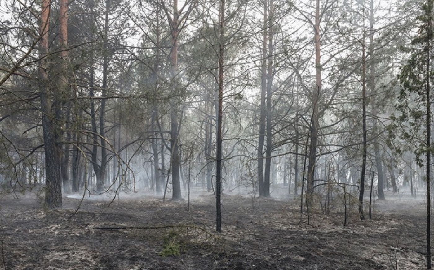 За сутки в стране ликвидировано почти 90 пожаров в экосистемах