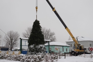 Мелиораторы Березинщины установили елку