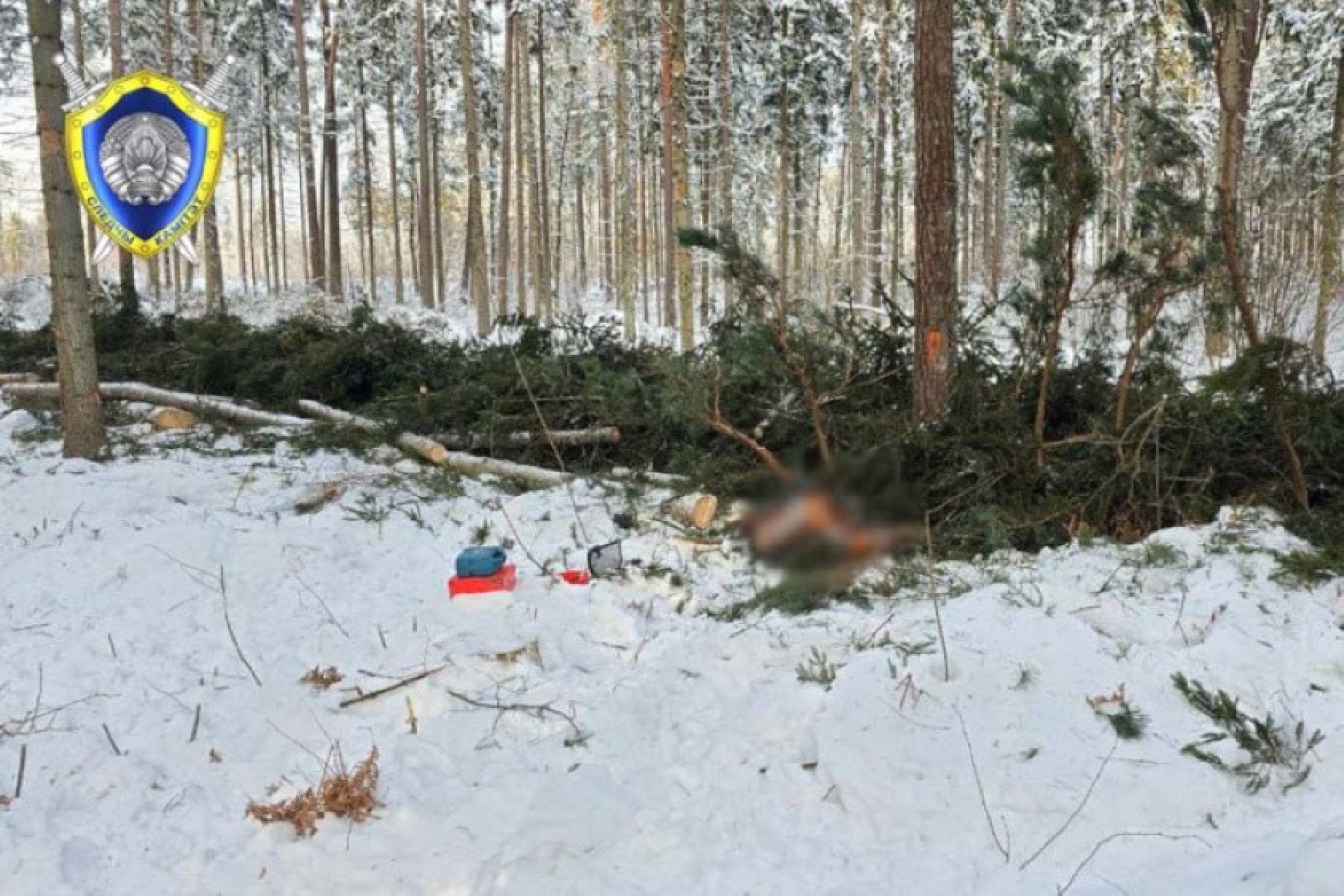 В Костюковичском районе во время валки леса погиб работник