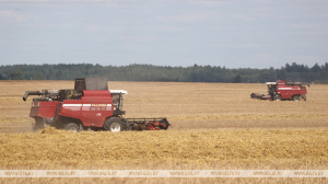 В Миноблисполкоме рассказали, как проходит уборочная в регионе