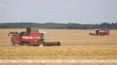 В Миноблисполкоме рассказали, как проходит уборочная в регионе