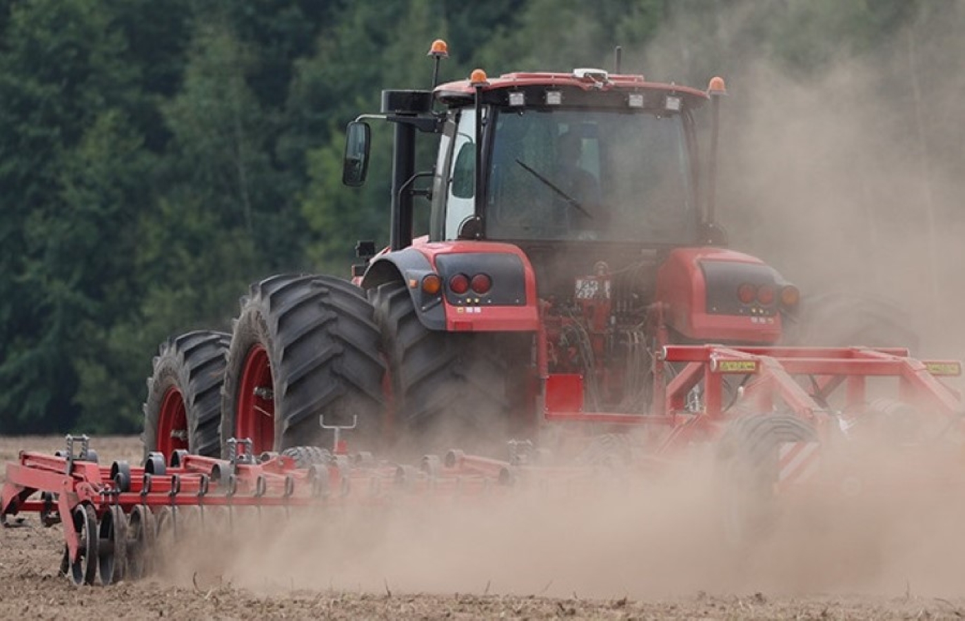 Сколько зерна, рапса, картошки? Минсельхозпрод определился с видами на урожай 2025 года