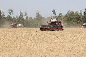 "Смотрю на этих ребят, 33 градуса на улице…" Лукашенко пообещал, что героев нынешней жатвы особо поощрят