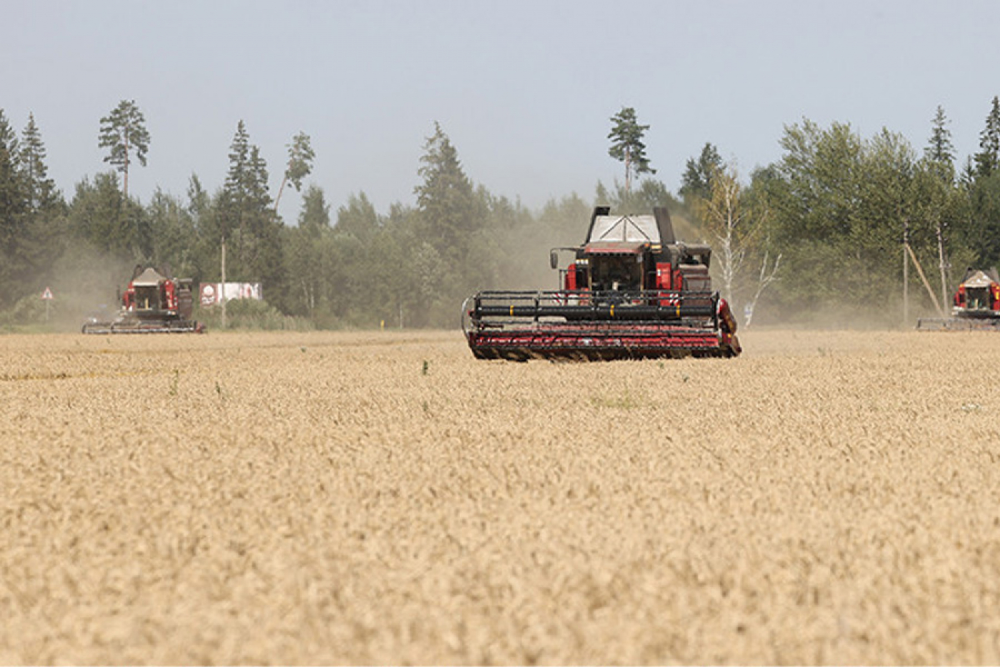 "Смотрю на этих ребят, 33 градуса на улице…" Лукашенко пообещал, что героев нынешней жатвы особо поощрят