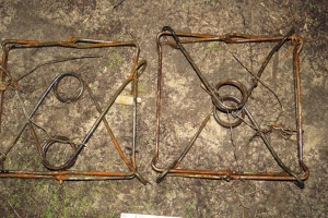 Добыл бобров с помощью капканов. В Речице суд вынес приговор охотнику