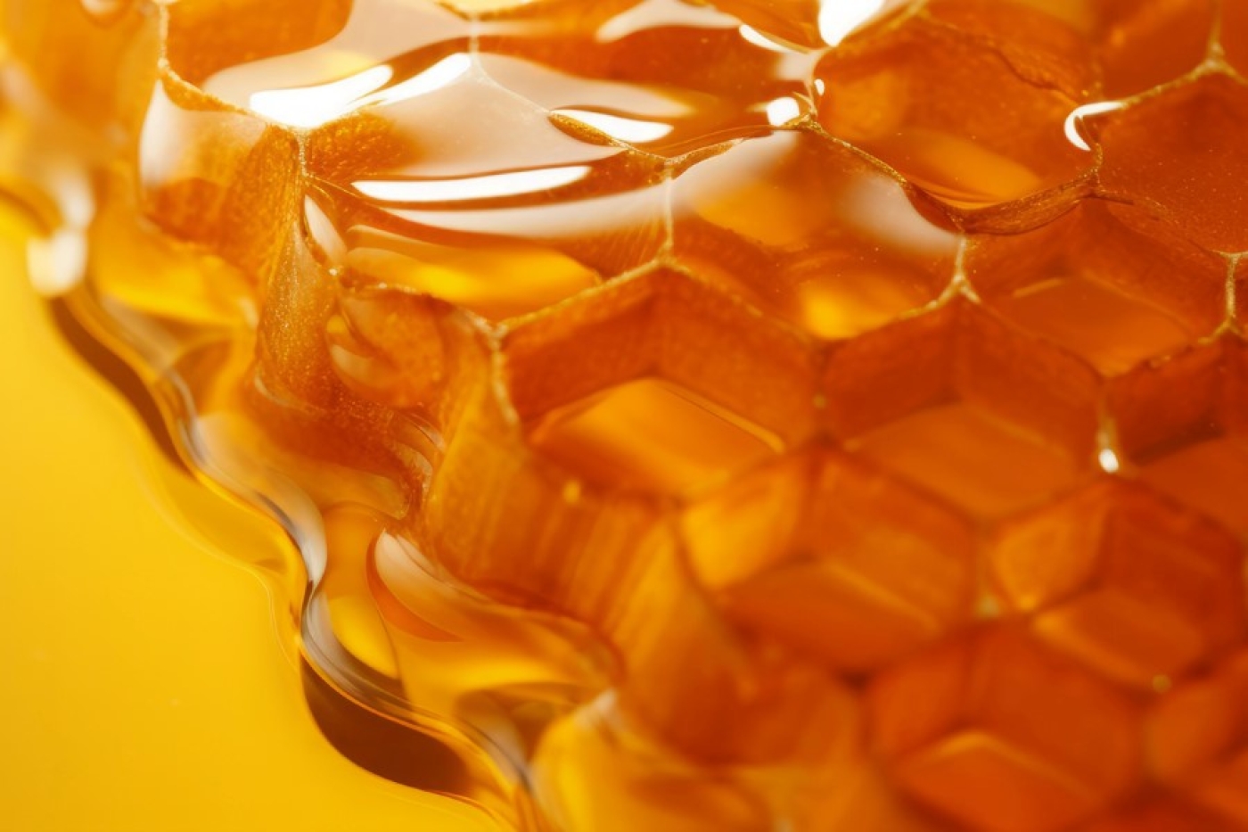 Погода в Беларуси в выходные: небольшие дожди и до +17 °С