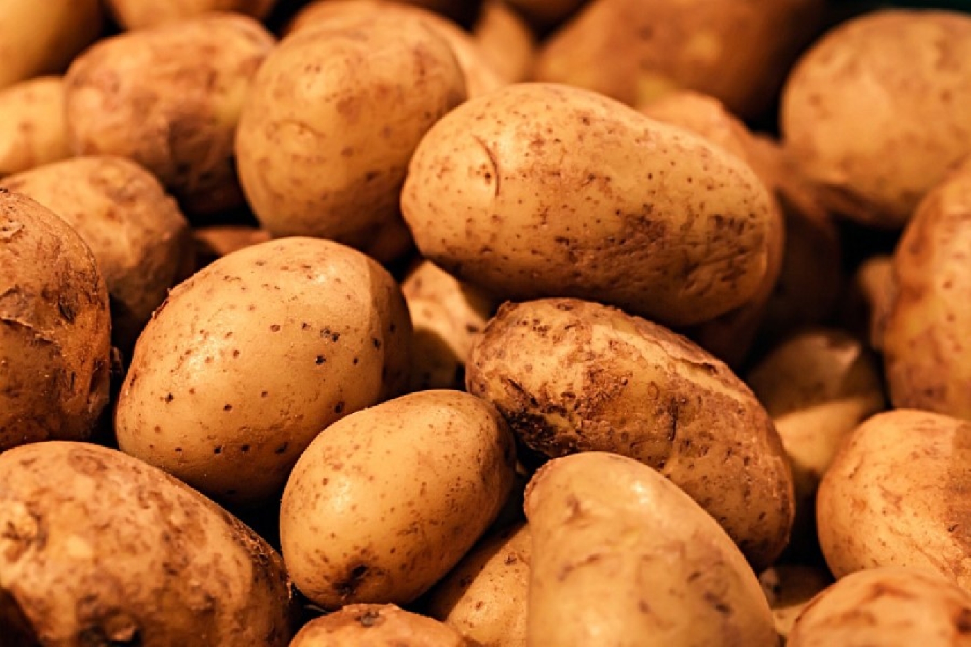 Ни ростков, ни гнили: где хранить картофель в городской квартире