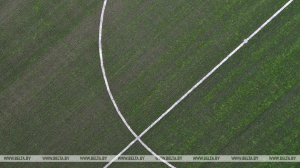 "Галатасарай", "Брага" и "Янг Бойз" пробились в групповой этап футбольной Лиги чемпионов