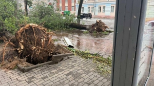 Аварийные бригады восстанавливают электроснабжение в более чем 60 населенных пунктах Беларуси