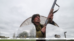 "За километр зерно видит, а охотника и подавно разглядит". Как охотятся на гуся в Быховском районе