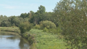 Погода в выходные: дожди, местами грозы и до +31 °С