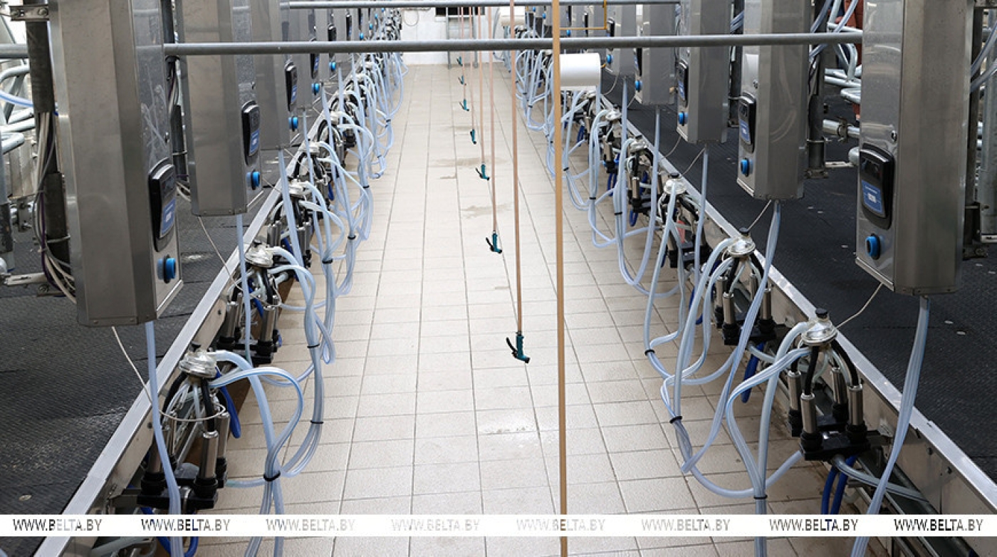 "Это большое дело". Лукашенко в Оршанском районе напомнил о практике шефства над сельхозпредприятиями