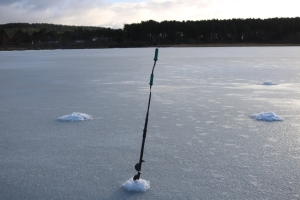 Заморы, рыбе нужна наша помощь